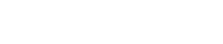 DeepFaceSwap AI Logo